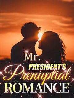 Mr. President's Prenuptial Romance